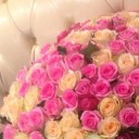 สมาชิกหมายเลข 1660741