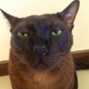 คนในฝัน มันไม่มีจริง