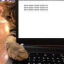 สมาชิกหมายเลข 3311392