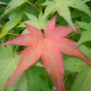 สมาชิกหมายเลข 841622