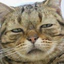 สมาชิกหมายเลข 1046466