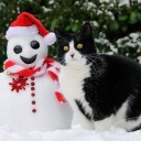 สมาชิกหมายเลข 1238179