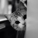 สมาชิกหมายเลข 1316666