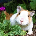 สมาชิกหมายเลข 842038