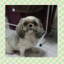 สมาชิกหมายเลข 1094293