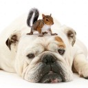 ห่างไกลเหลือเกิน