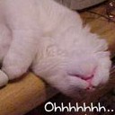 สมาชิกหมายเลข 842305