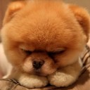 สมาชิกหมายเลข 1239346