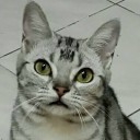 สมาชิกหมายเลข 1262945