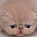 สมาชิกหมายเลข 2028115