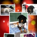 สมาชิกหมายเลข 2467373