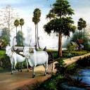 สมาชิกหมายเลข 1239714