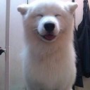 สมาชิกหมายเลข 1182548