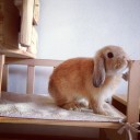 สมาชิกหมายเลข 1631968