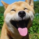 สมาชิกหมายเลข 1886899