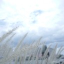 สมาชิกหมายเลข 1482738