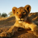 สมาชิกหมายเลข 2374306