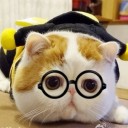 สมาชิกหมายเลข 2876071