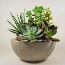 สมาชิกหมายเลข 3077959