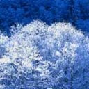 สมาชิกหมายเลข 842969