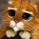 สมาชิกหมายเลข 843017