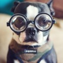 สมาชิกหมายเลข 981888