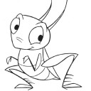 จิ้งหรีดบ้านทุ่ง