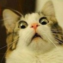 สมาชิกหมายเลข 792241