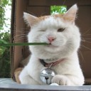 สมาชิกหมายเลข 1763053