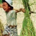 สมาชิกหมายเลข 843898