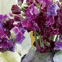 สมาชิกหมายเลข 1204359