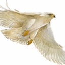 สมาชิกหมายเลข 2817364