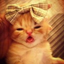 สมาชิกหมายเลข 844167