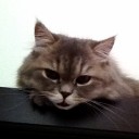 สมาชิกหมายเลข 1056533