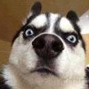 สมาชิกหมายเลข 1663837