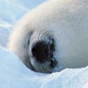 สมาชิกหมายเลข 816275