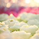 สมาชิกหมายเลข 844510