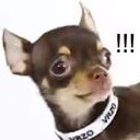 สมาชิกหมายเลข 774362