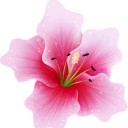 สมาชิกหมายเลข 2072583