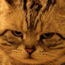 สมาชิกหมายเลข 786028