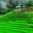 สมาชิกหมายเลข 811638