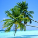 สมาชิกหมายเลข 844629