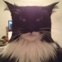 สมาชิกหมายเลข 844871