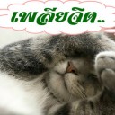 สมาชิกหมายเลข 1242207