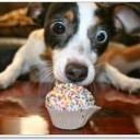 สมาชิกหมายเลข 1612367