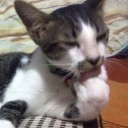 สมาชิกหมายเลข 2686377