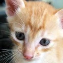 เจ้าหญิงโอโม่นะจ้ะ