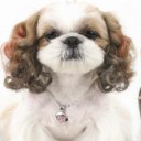 สมาชิกหมายเลข 845132