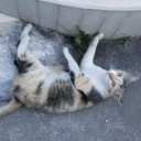 ยี่สิบแปดสิงหาคม