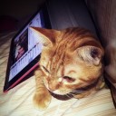 ณัฐพล คนโก้